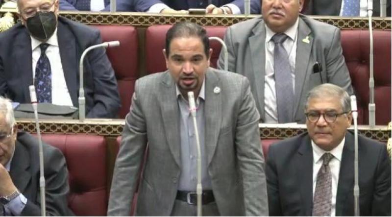 نائب الاقصر بمجلس الشيوخ محمد عبد العليم الشيخ الضبعاوي  