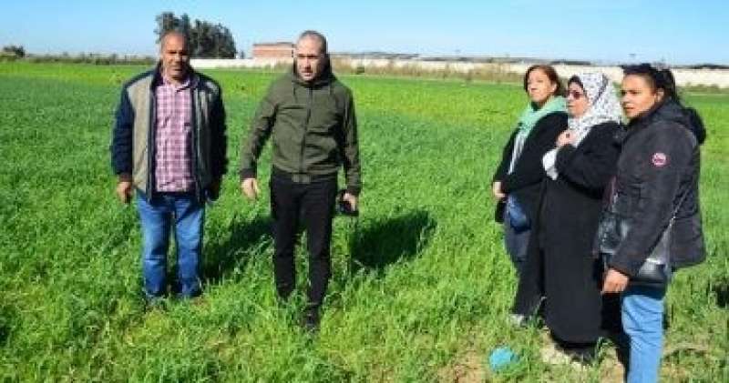 رئيس مدينة بورفؤاد: التوسع فى زراعة المحاصيل الاستراتيجية بمنطقة سهل الطينة