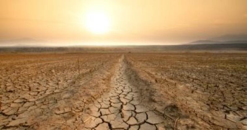 «معلومات المناخ»: 4 توصيات للمزارعين لتجنب تأثير زيادة التذبذبات الحرارية