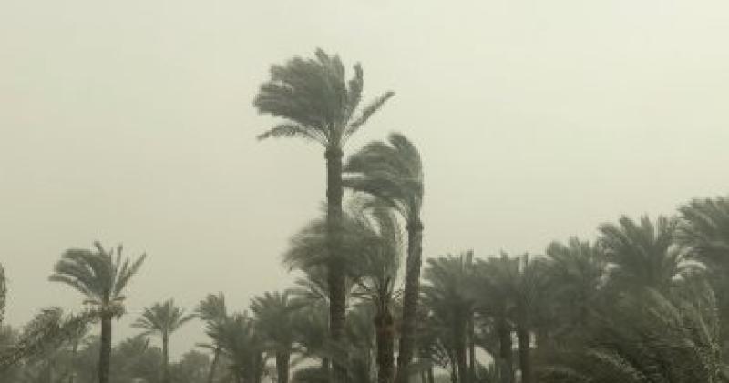 الأرصاد تحذر: توقعات بأمطار متفاوتة الشدة على شمال البلاد حتى القاهرة الكبرى