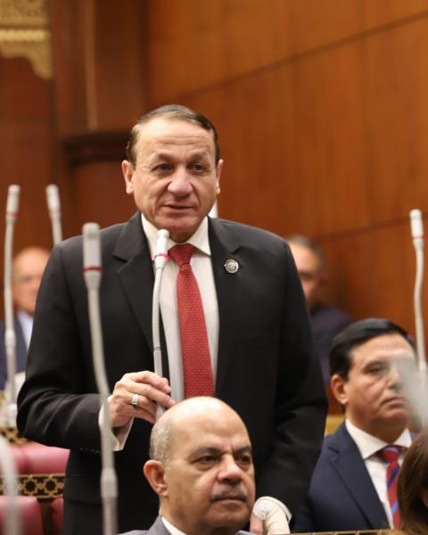 أيمن عبد المحسن، رئيس الهيئة البرلمانية لحماة الوطن بالشيوخ