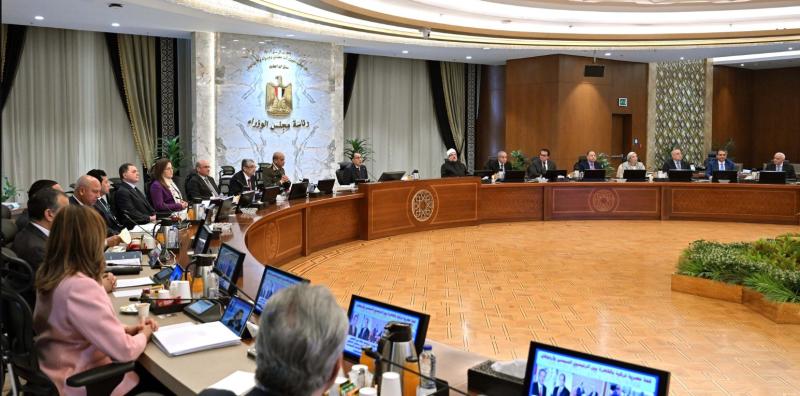 مجلس الوزراء يحدد سعر ضمان لتوريد القطن للموسم 2024/2025