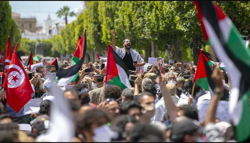 احتجاجات لدعم غزة - تونس