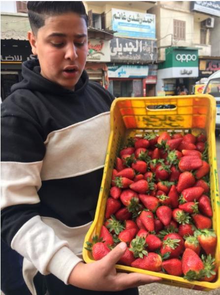 أستقرار أسعار الخضروات والفاكهة في سوق فارسكور الحضاري.. اليوم