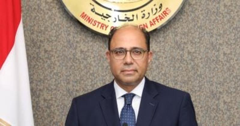 المتحدث الرسمي باسم الخارجية السفير أحمد أبو زيد