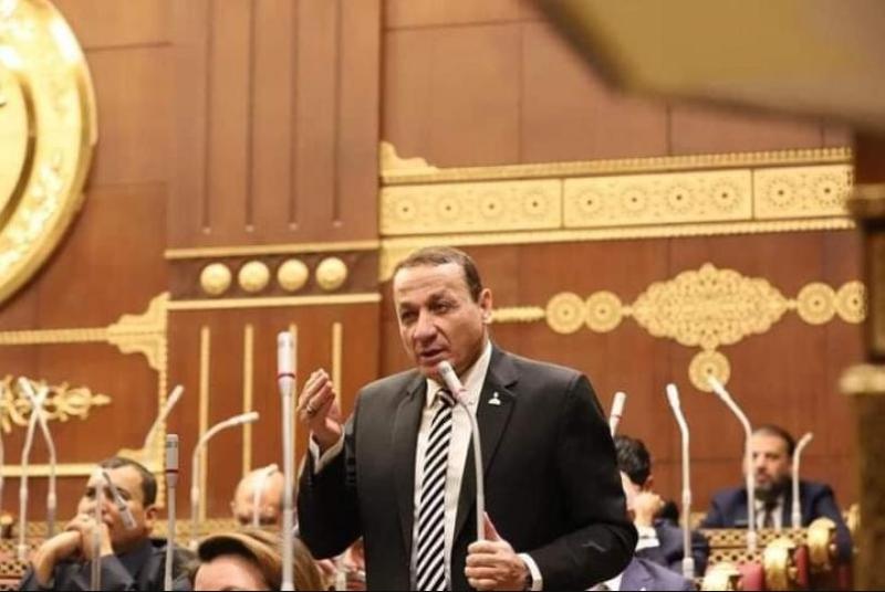 رئيس برلمانية حماة الوطن:  امتلاك أسطول تجاري بحري يضع مصر على خارطة التجارة الدولية