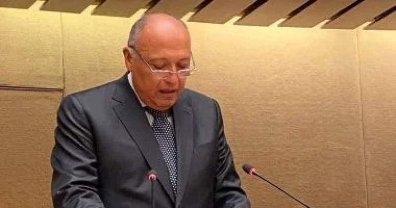 وزير الخارجية باحتفالية يوم الدبلوماسية المصرية: نعيش واقع شديد التعقيد