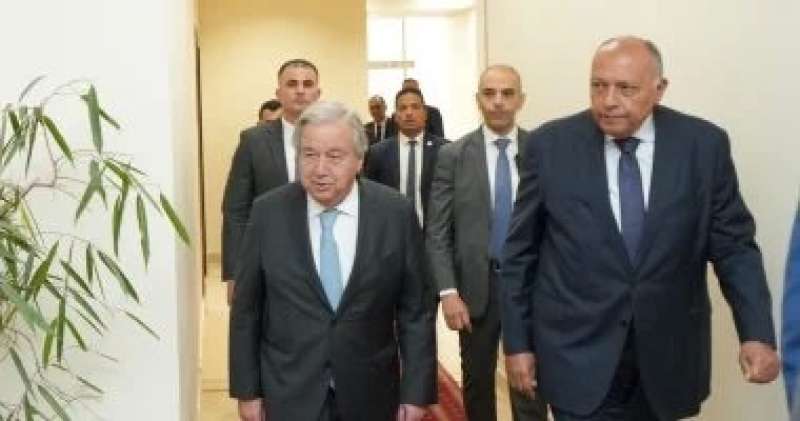 وزير الخارجية يشدد على ضرورة إقامة الدولة الفلسطينية المستقلة