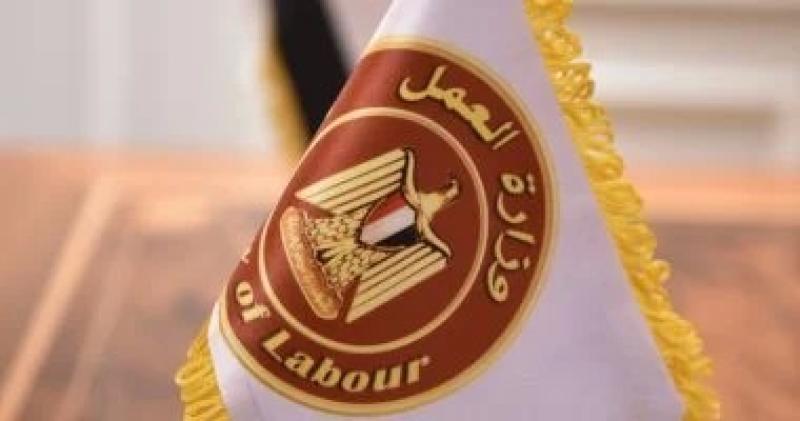 وزارة العمل: 9 مكاتب تمثيل عمالى في 8 بلدان تخدم 5 ملايين عامل مصرى بالخارج