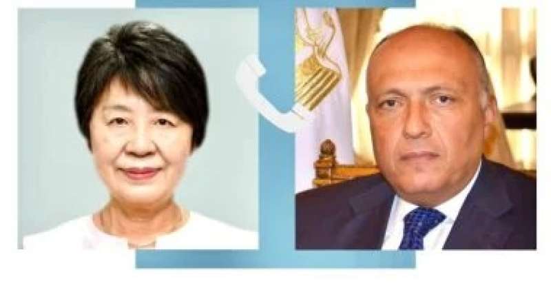 خارجية اليابان: نتطلع لتعزيز العلاقات مع مصر فى ظل ولاية الرئيس السيسى الجديدة