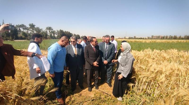 محافظ شمال سيناء يشهد موسم حصاد القمح بمدرسة الزراعة بالعريش