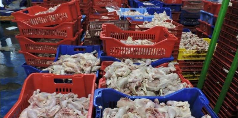 ضبط أكثر من مليون كيلو دجاج منتهى الصلاحية قبل طرحه بالأسواق فى دمياط