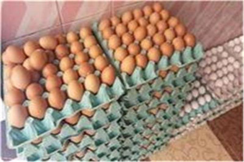 أسعار البيض اليوم 8 أبريل