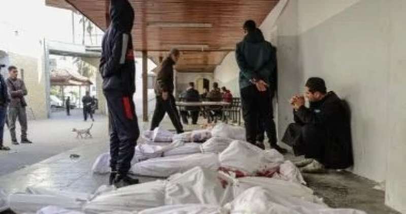 مندوب اليابان بمجلس حقوق الإنسان: عدد الضحايا المدنيين فى غزة كبير