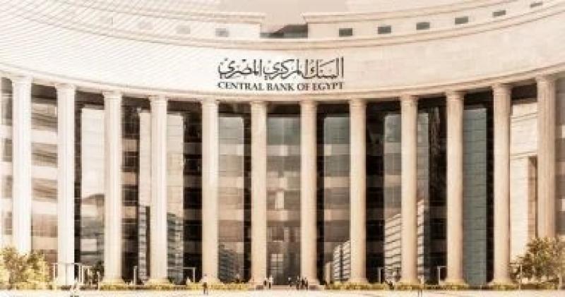 البنك المركزي: شبكة التمويل والاستدامة المصرفية ترفع تصنيف مصر لـ”التطبيق المتقدم”