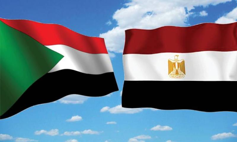 أستاذ علاقات دولية: مصر لعبت دورًا محوريًا في إيجاد حل ودعم للقضية السودانية