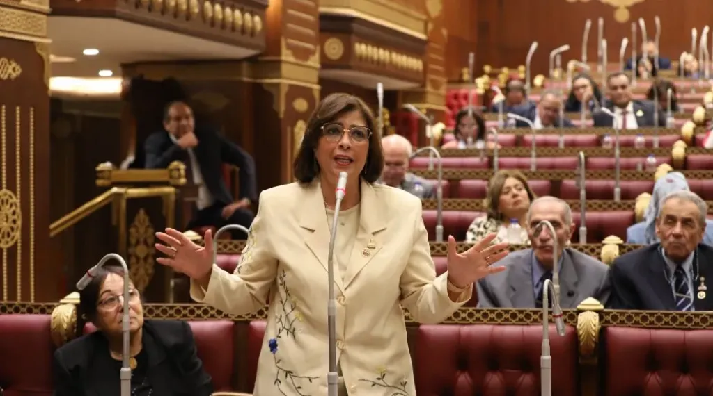 في ضوء شكاوى المواطنين | طلب إحاطة لـ«رئيس تضامن النواب» لحماية الفئات الأولي بالرعاية