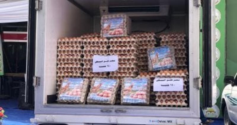 ‫10 منافذ متحركة بالقاهرة الكبيرة لبيع بيض المائدة بـ140 جنيها للكرتونة.. صور
