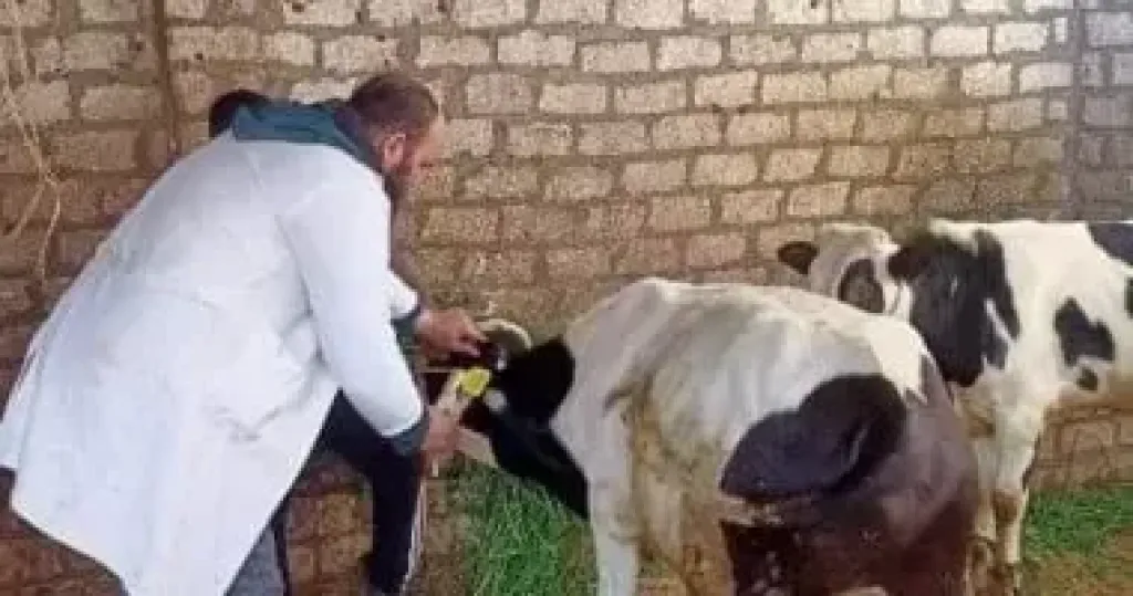 استعدادا لاستقبال عيد الأضحى.. الخدمات البيطرية توفر مستلزمات عمليات الذبح بالمجازر