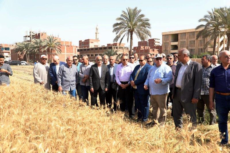 محافظ الشرقية يشهد افتتاح موسم حصاد القمح لعام 2024 بحقل ارشادي