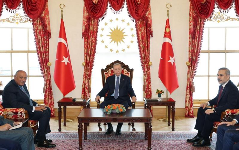 رئيس تركيا يستقبل وزير الخارجية المصري خلال زيارته لإسطنبول