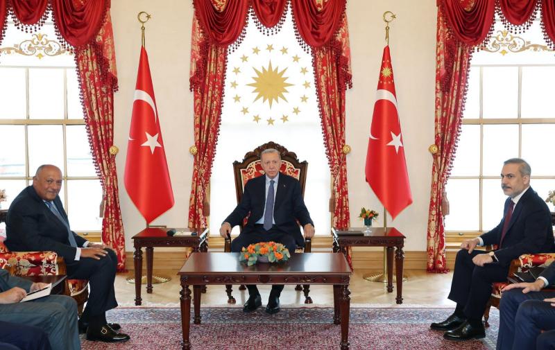القاهرة الإخبارية تكشف تفاصيل لقاء وزير الخارجية سامح شكري مع الرئيس التركي