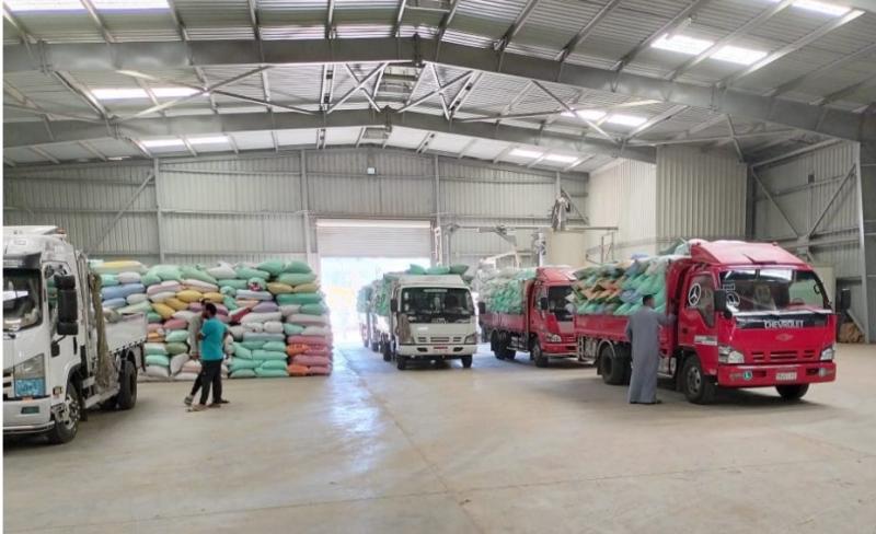 البنك الزراعي يبدأ استلام محصول القمح من المزارعين والموردين في 190 موقع على مستوى الجمهورية (صور)