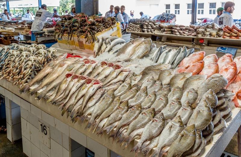 أسواق الأسماك - أرشيفية