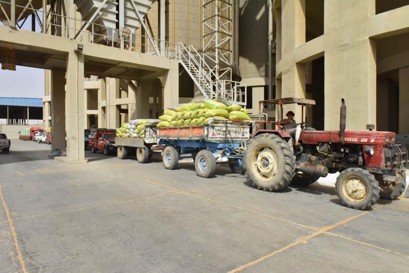 محافظ أسيوط يعلن ارتفاع نسبة توريد القمح الى 12 الف طن بالشون والصوامع حتى اليوم