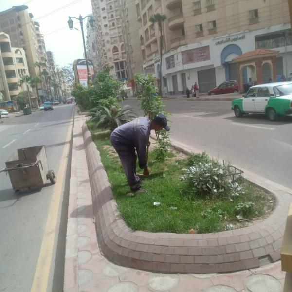 تكثيف حملات النظافة بشوارع دمنهور