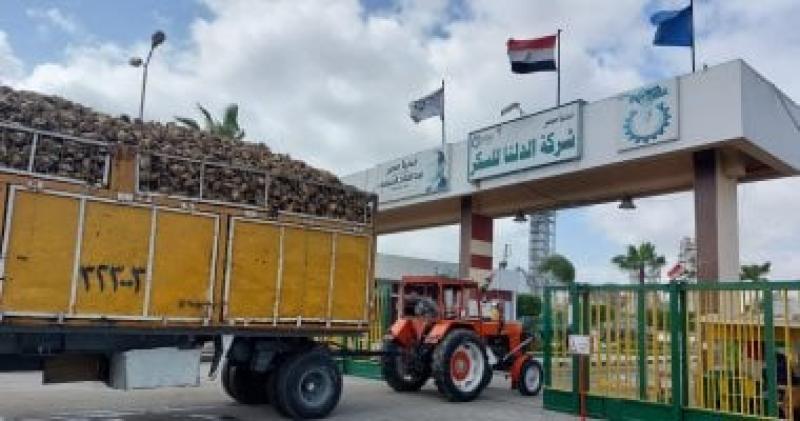 وزارة التموين تناشد المزارعين المتعاقدين عدم تقليع محصول بنجر السكر بدون إخطار