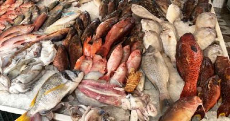 انخفاض أسعار الأسماك اليوم 28 أبريل بسوق العبور