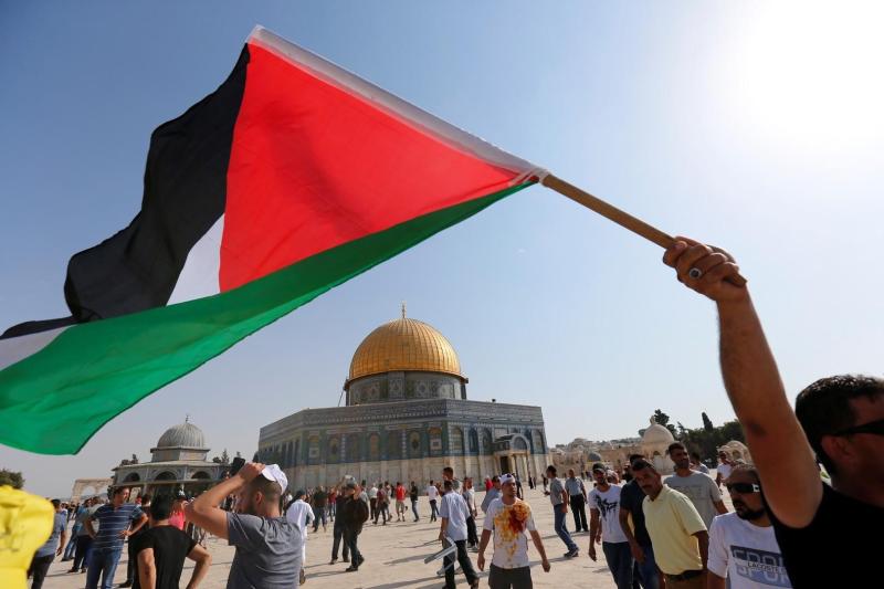 باحث في الشئون الدولية: مظاهرات الطلاب لدعم فلسطين لن تؤثر على تغيير وجهة نظر الحكومات الغربية