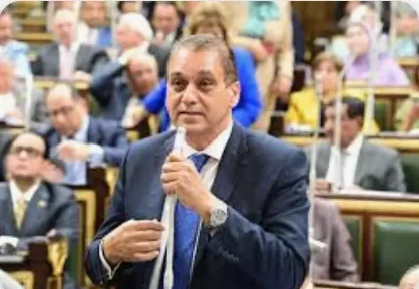 المستشار علاء الدين فؤاد :يؤدى اليمين الدستورية أمام مجلس النواب