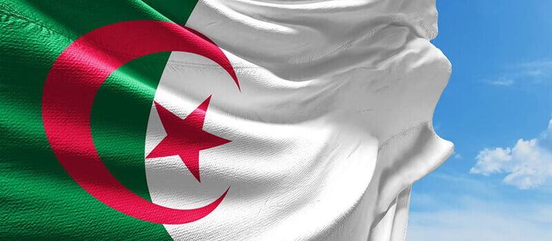 الجزائر تدين تنفيذ قوات الاحتلال الإسرائيلي عمليات عسكرية في رفح وتحذر من تداعيات جسيمة