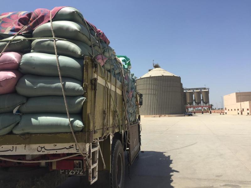 338 مليون دولار واردات مصر من القمح فى فبراير الماضى