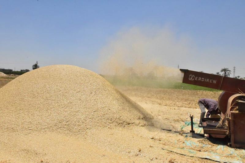 محافظ أسيوط يعلن استمرار حصاد محصول القمح وتوريد 94 ألف طن للشون والصوامع منذ بدء موسم التوريد