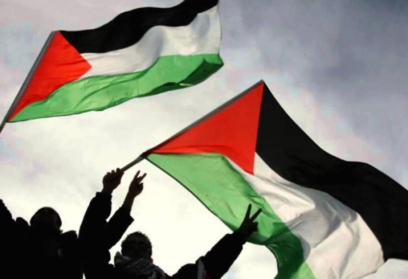 أستاذ علوم سياسية: الأمم المتحدة لم تستطع أن تنقذ إنسانية الشعب الفلسطيني