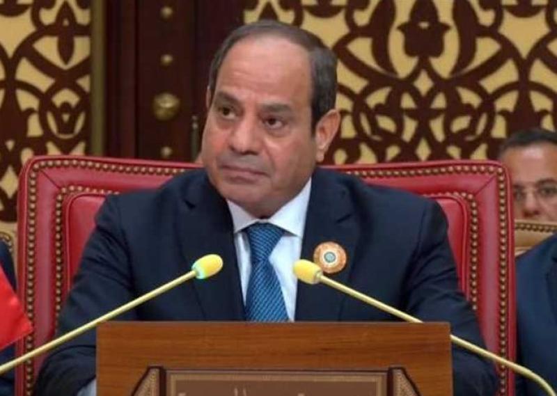 د. احمد عبد الظاهر: كلمة الرئيس السيسي في القمة العربية تؤكد موقف مصر والدفاع عن الفلسطينين