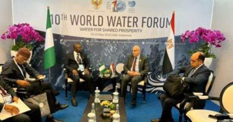 ‫وزير الرى يلتقى نظيره النيجيرى فى المنتدى العالمى العاشر للمياه بأندونيسيا