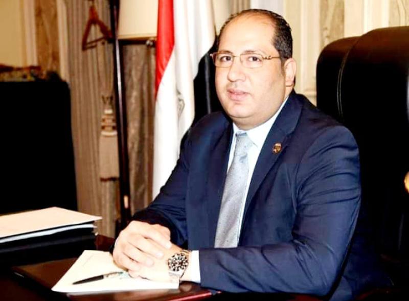 أحمد سعد نويصر، عضو مجلس النواب