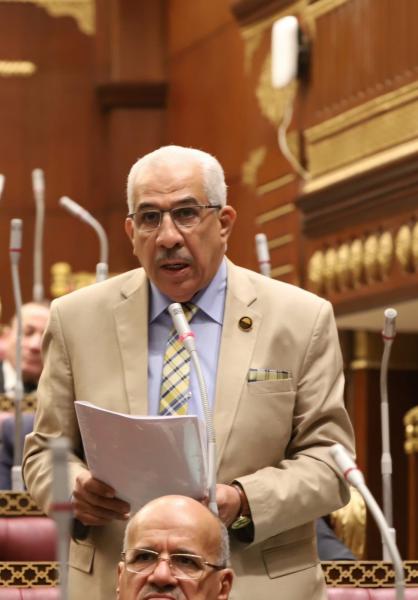 النائب مجدي سليم وكيل لجنة الطاقة بمجلس الشيوخ