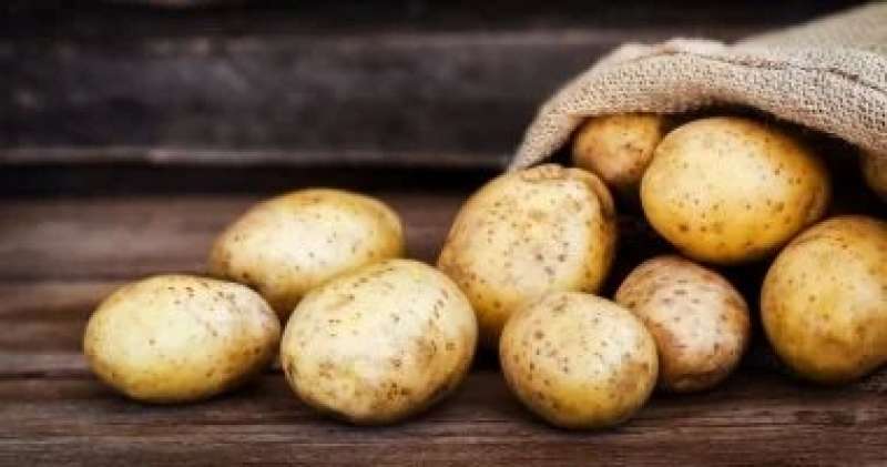 طرح البطاطس بـ 5 جنيهات للكيلو بمعرض خير مزارعنا لأهالينا فى الدقى