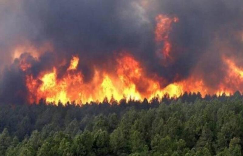 حرائق غابات تصل لقرية عدد سكانها 7000 نسمة في نيومكسيكو