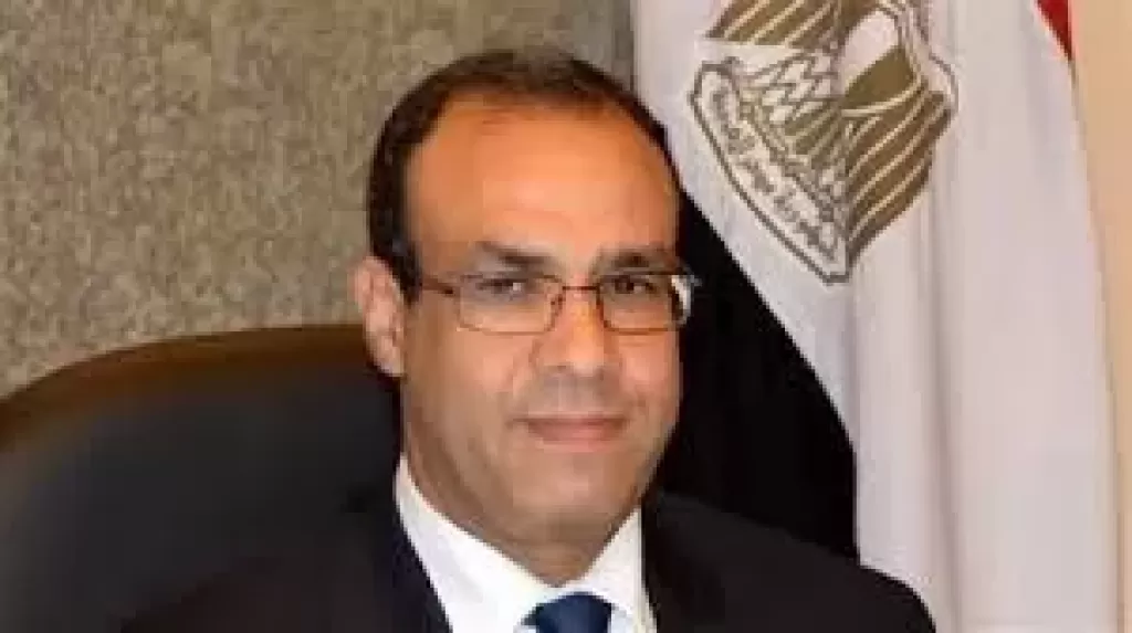 وزير الخارجية الجديد بدر عبد العاطى
