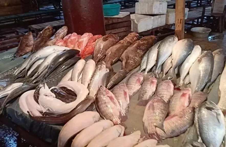 تعرف على أسعار الأسماك اليوم 5 يوليو بسوق العبور
