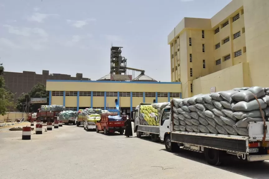 محافظ أسيوط : إرتفاع توريد القمح الى 194 ألف طن للشون والصوامع