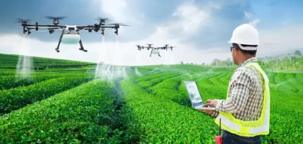 أستاذ اقتصاد: استخدام التكنولوجيا والذكاء الصناعي يفيد النشاط الزراعي ويحقق الأمن الغذائي