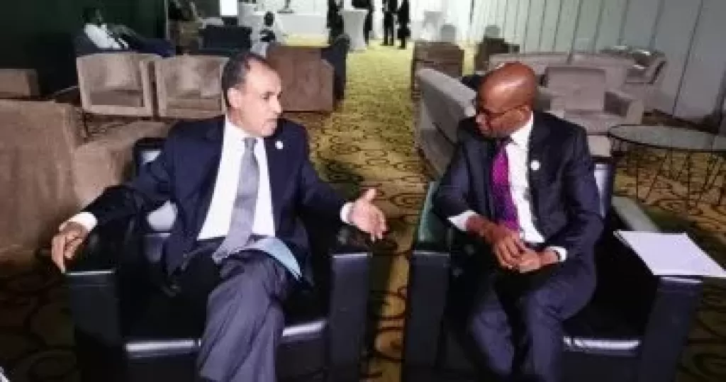 وزير الخارجية يعقد لقاء ثنائى مع نظيره التنزانى