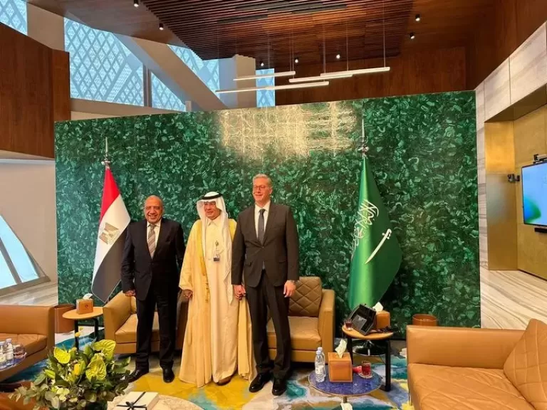 مصر والسعودية يبحثان سبل تعزيز التعاون المشترك في مجال الطاقة